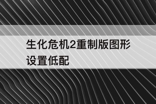 生化危机2重制版图形设置低配