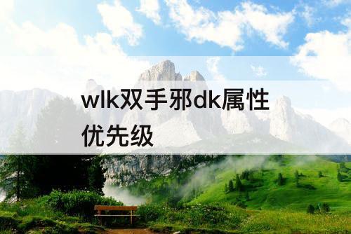 wlk双手邪dk属性优先级