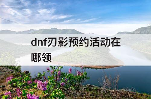 dnf刃影预约活动在哪领