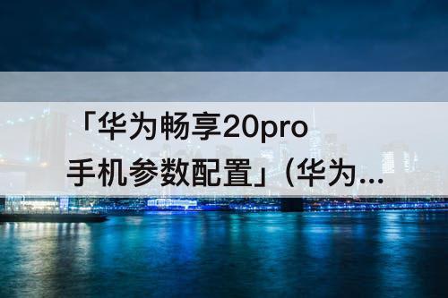 「华为畅享20pro手机参数配置」(华为畅享20pro手机参数配置图片)