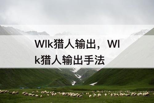 Wlk猎人输出，Wlk猎人输出手法