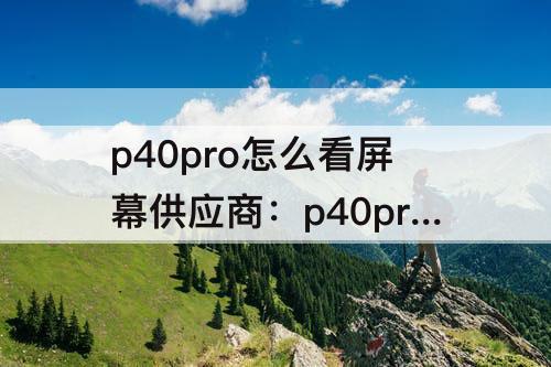 p40pro怎么看屏幕供应商：p40pro怎么看屏幕供应商209