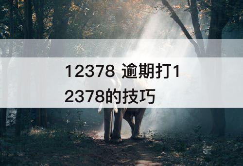 12378 逾期打12378的技巧