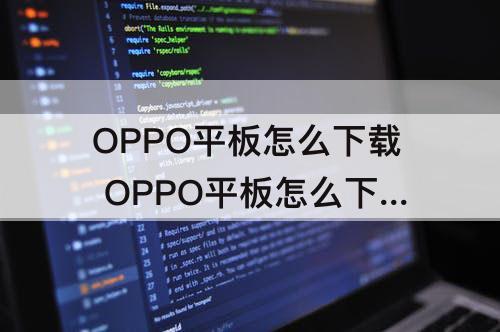 OPPO平板怎么下载 OPPO平板怎么下载flash