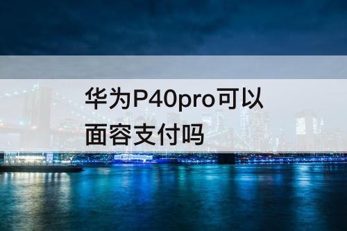 华为P40pro可以面容支付吗