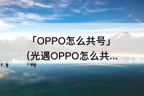 「OPPO怎么共号」(光遇OPPO怎么共号)