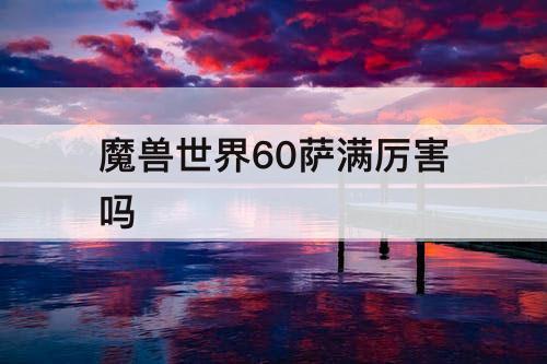 魔兽世界60萨满厉害吗