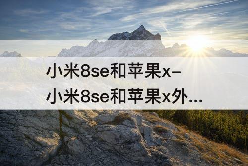 小米8se和苹果x-小米8se和苹果x外观