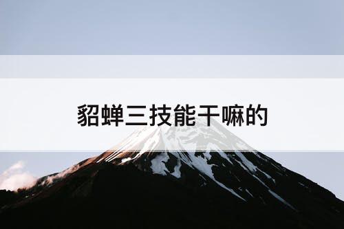 貂蝉三技能干嘛的