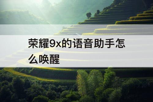 荣耀9x的语音助手怎么唤醒