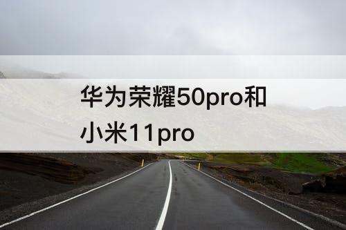 华为荣耀50pro和小米11pro