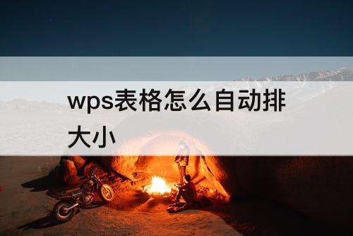 wps表格怎么自动排大小