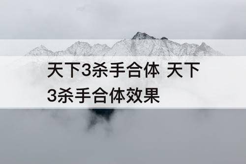 天下3杀手合体 天下3杀手合体效果