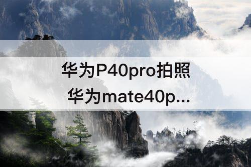 华为P40pro拍照 华为mate40pro和华为p40pro拍照谁好