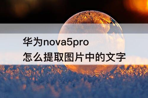 华为nova5pro怎么提取图片中的文字