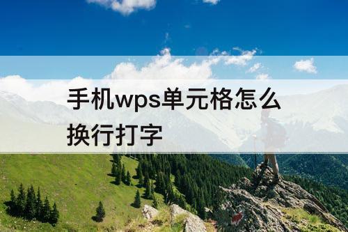 手机wps单元格怎么换行打字