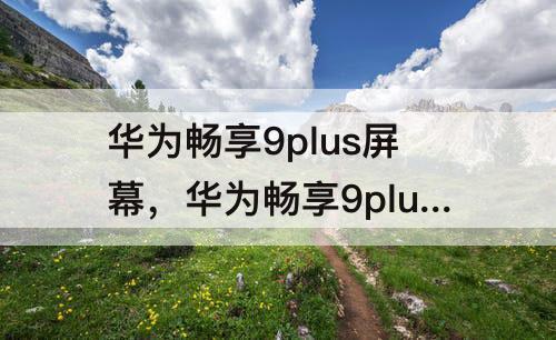 华为畅享9plus屏幕，华为畅享9plus屏幕刷新率是多少hz