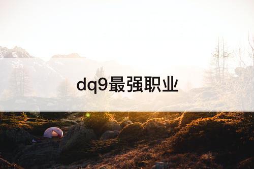 dq9最强职业