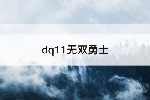 dq11无双勇士